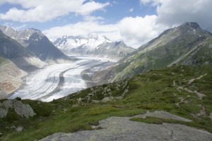 Der Aletschgletscher