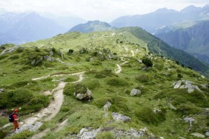 Der Pfad zur Riederalp